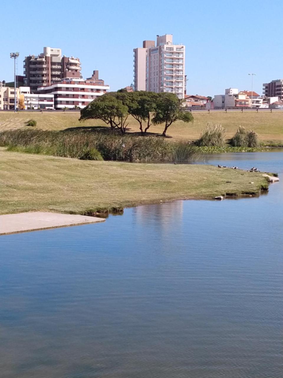 Edificio Juana Del Mar Διαμέρισμα Μαρ ντελ Πλάτα Εξωτερικό φωτογραφία